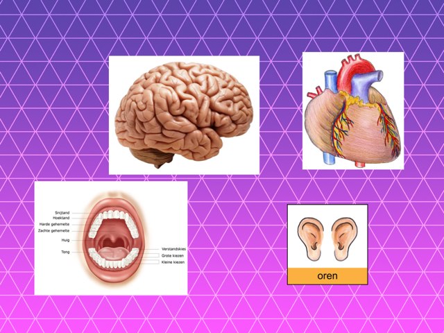Spel 44 by Marc Soria