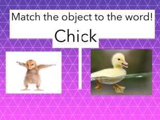 Spelling by Linda Lonergan