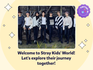 Stray Kids: K-Pop Journey by cazlv chuachutg