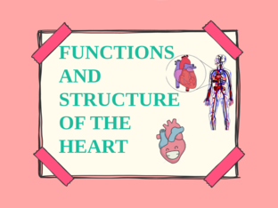 Structure and Function of the Heart by Lalala Blah