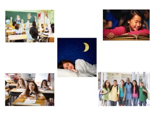 Sugieres by Amber young