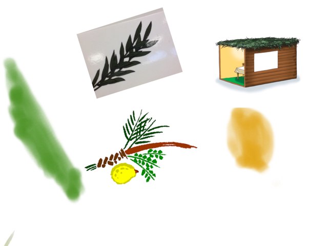 Sukkot Yoav Barlevy by Nadine Linton