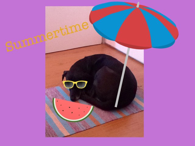 Summertime Doggy by Year One