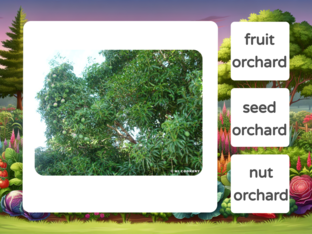 TLE 6 2ND QUARTER REVIEW  by mary joy