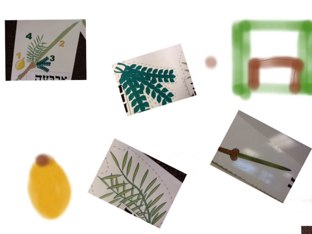 Talia Zuckerman by Nadine Linton