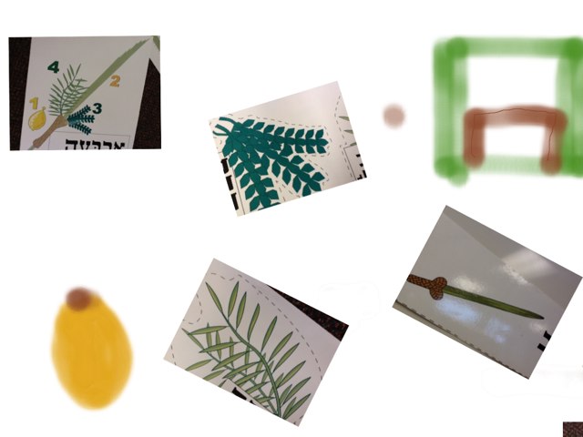 Talia Zuckerman by Nadine Linton