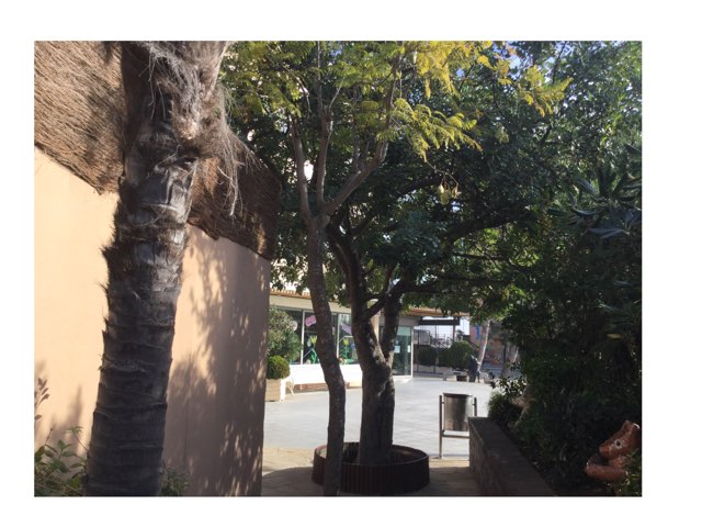 Tamarinde  by Cay Casas