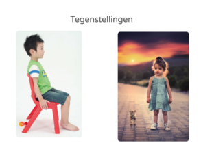 Tegenstellingen by Ina Van Den Brant