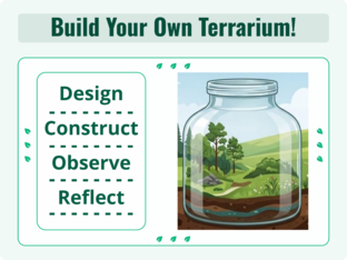 Terrarium Introduction by Ayden