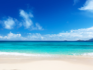 Test Game - 2023-05-12 by 