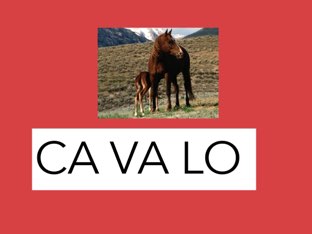 Teste by Taticacre Vendramini