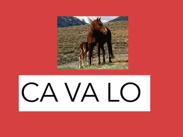 Teste by Taticacre Vendramini