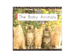The Baby Animals by Chrissy Waned