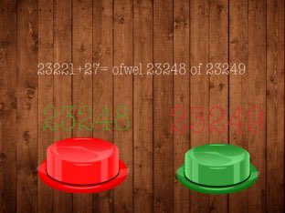 The Extreem by Dolly verhaert