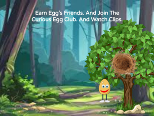 The Curious Egg World by Marina Tseytlin
