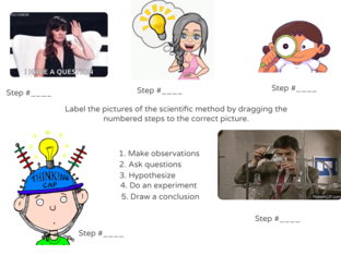 The order of the Scientific Method by Liz Kalac