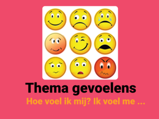 Thema gevoelens Nt2 by Sabine