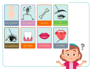 Themawoordenschat K3: Mijn lichaam by Kim VH