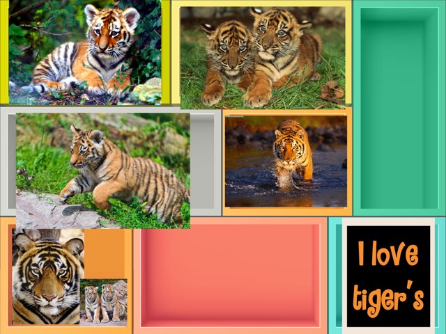 Tiger's by P307 Classroom