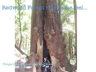 Timmy, Jason, Tracy by Kristi Luo