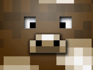 Tiny Taps by Lydia Heier