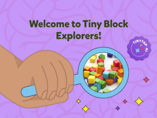 Tiny Block Explorers by chan muyt