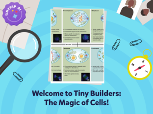 Tiny Builders: The Magic of Cells by Darcy Howell