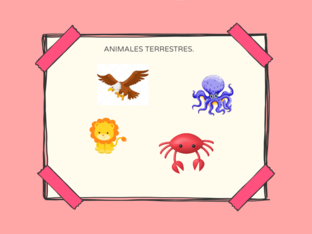 Tipos de Animales. by Rebeca Falcó