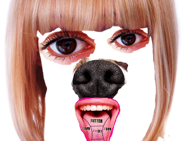 Totally Not Fake Face by Josh Thurlbeck