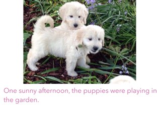 Transitional Words and Phrases by Jennie Kraus