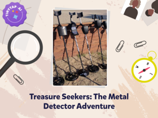 Treasure Seekers: The Metal Detector Adventure by Darcy Howell