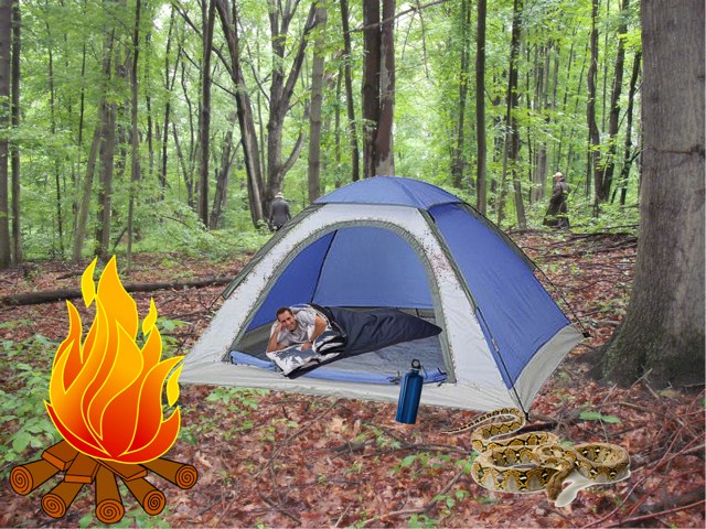 U1L1 by Genevieve Dooner