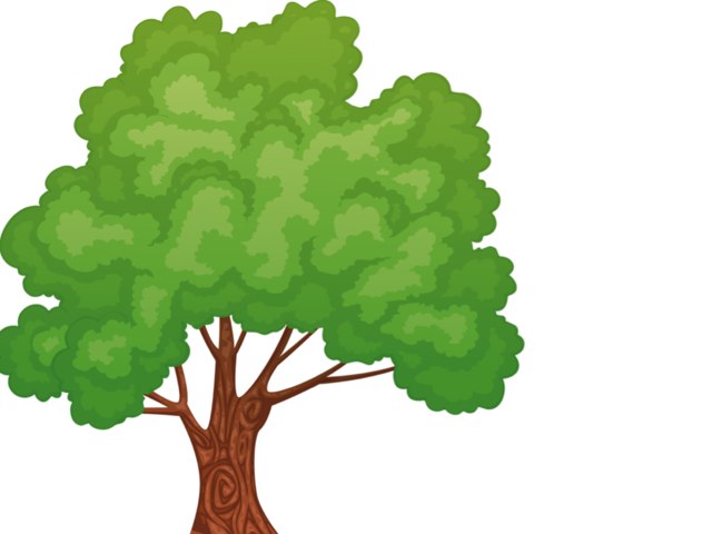 משחק הפאזלים הגדול by איתי לזינגמן