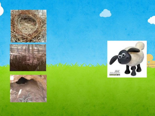 ماكل ومسكن الحيوانات  by Hanan Naser