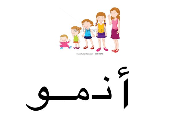 تركيب كلمة by abla ohoud