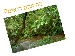 עעעעעמשחק 7 by Davida Pollak