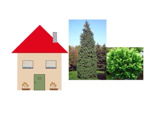 מיץ פטל פעילות בעקבות הסיפור by Sold School