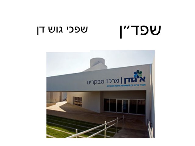 משחק 25 by Heli salomon