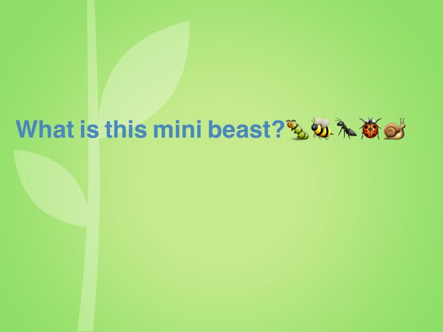  What Is This Mini Beast Quiz! by Taster days Blackheath