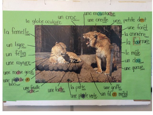 Casse-tête Ligres by Natalie Stewart