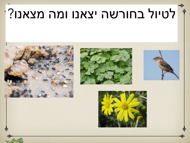 למידה חוץ גנית by Gan oren