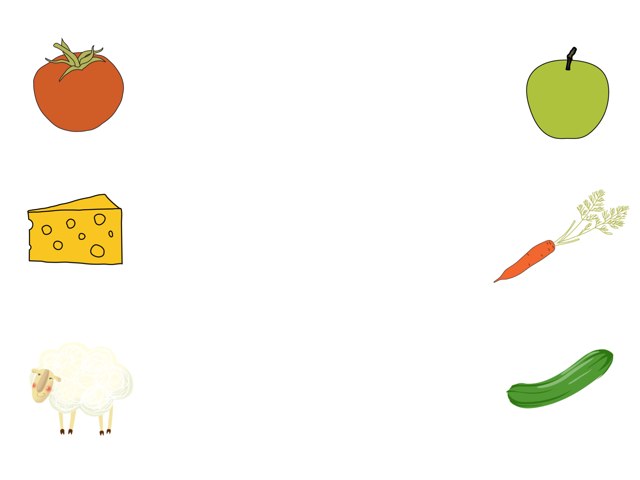 מיון זכר נקבה יחיד רבים by Sharon Hodor