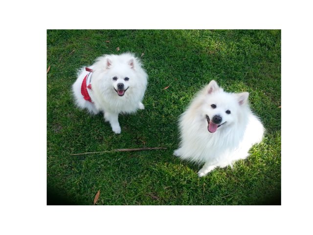 משחק 3 by רונית אורפלי