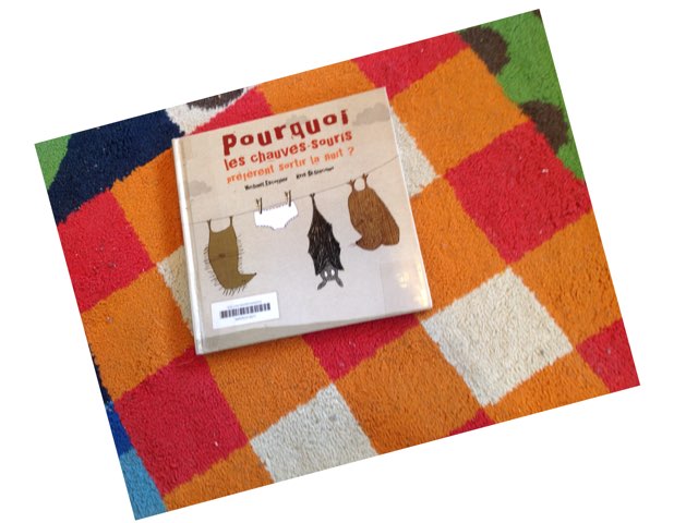 Pourquoi les  Chauves Souris Préfèrent Sortir la Nuit? Éscoffier by Les Marronniers