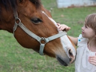 Horses in Hebrew! by Eden Movsovich