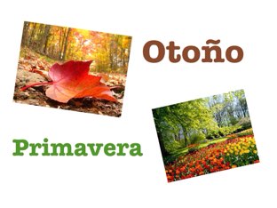 Otoño Primavera by Amal gonzalez