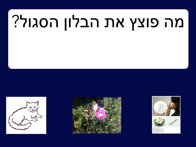 מעשה בחמישה בלונים by ורד לביא