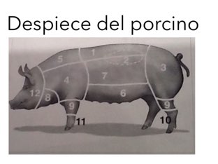 Identificación  by Patricia Gancedo