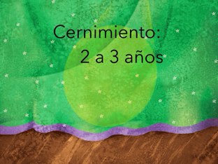 Cernimiento 2 A 3 Años by Nicolle Rios