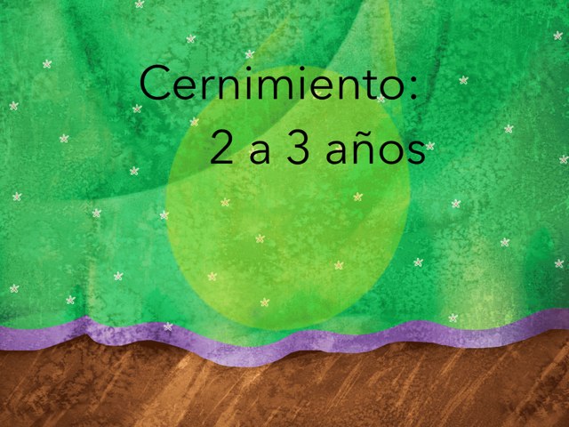 Cernimiento 2 A 3 Años by Nicolle Rios